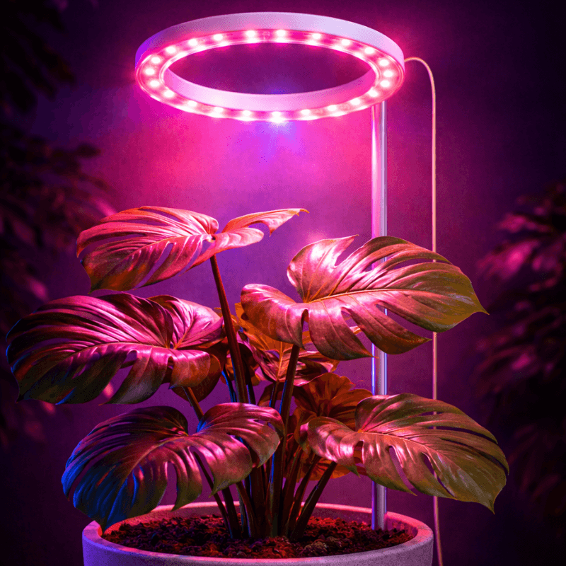 LumiGrow™ LED Halo Ring Light