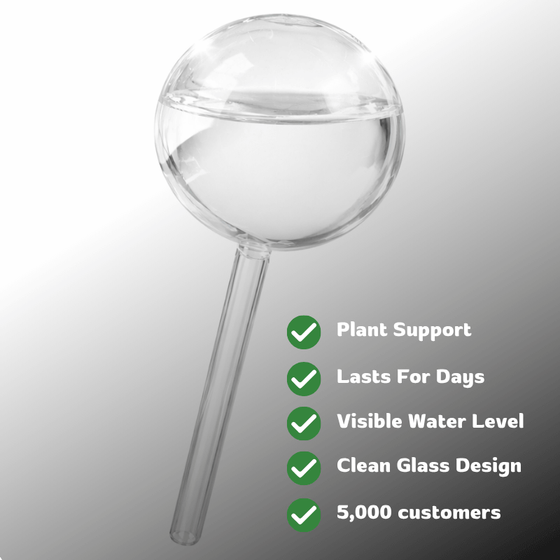 LumiGrow™ Glass Self Watering Globes (10 Pack)