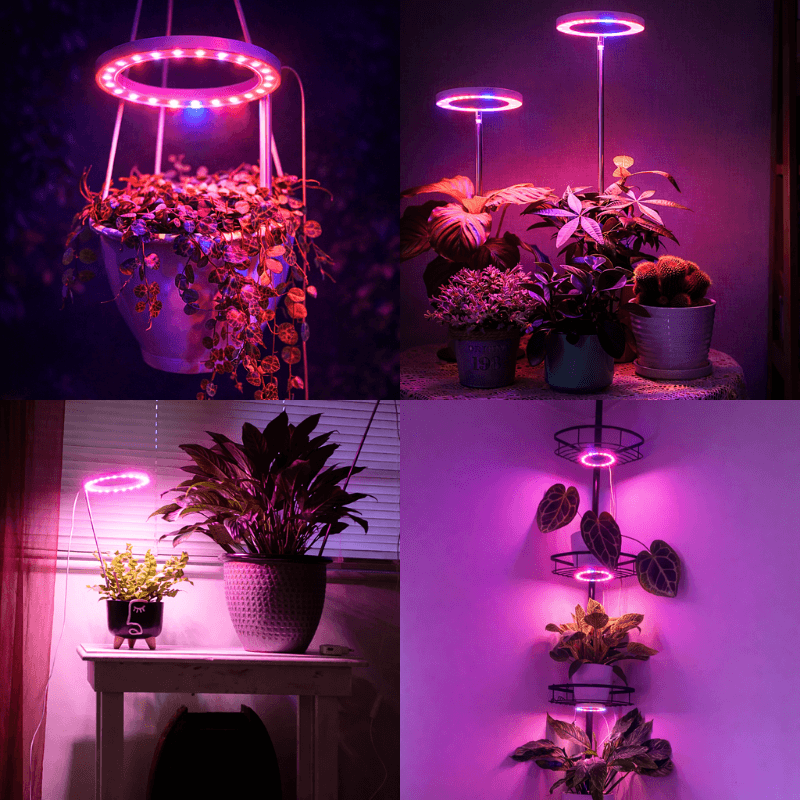 LumiGrow™ LED Halo Ring Light