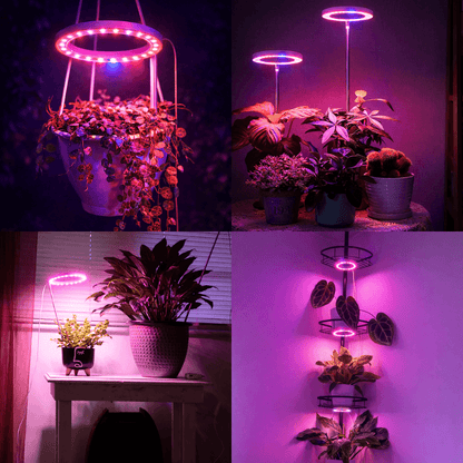 LumiGrow™ LED Halo Ring Light